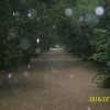 Jazowsko, Dunajec po obfitych opadach deszczu 19.07.2018 r